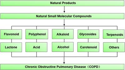 Potential Natural Small Molecular Compounds for the Treatment of Chronic Obstructive Pulmonary Disease: An Overview